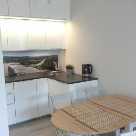Lesna Przystan Apartamento