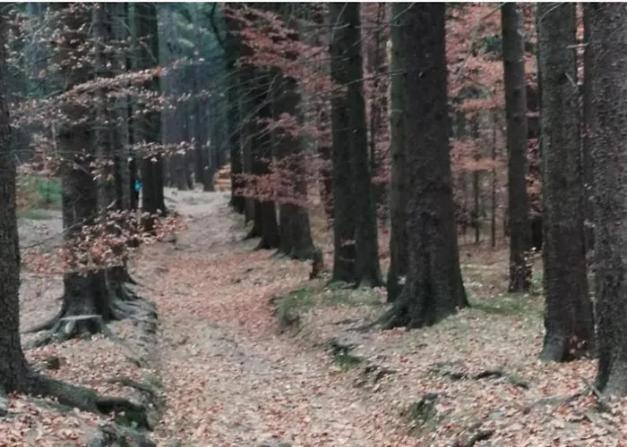 Lesna Przystan Appartement