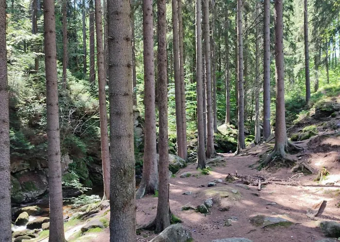 Lesna Przystan Szklarska Poręba