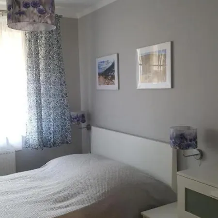 Lesna Przystan Apartment *