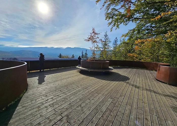 Lesna Przystan Apartment