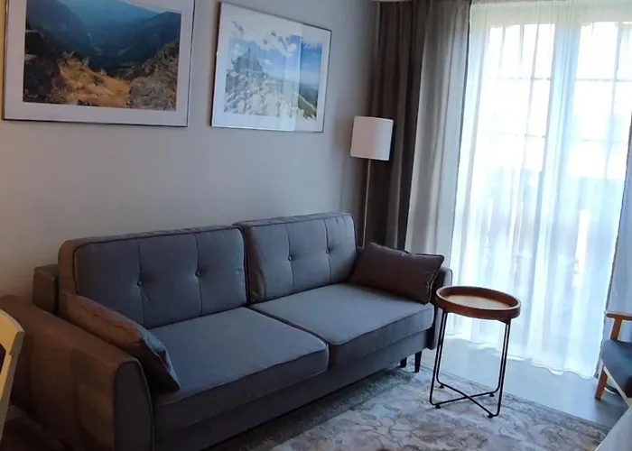 Lesna Przystan Apartment